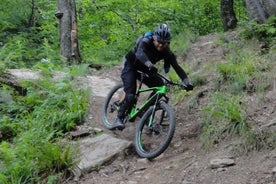 Tour in mountain bike di Kiev 1 giorno (8 ore)