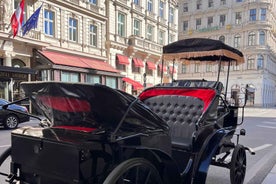 Vienna: Royal E-Carriage Sightseeing Tour incl. Prosecco