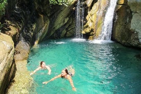 Bogova vandfald og Osumi Canyon tur