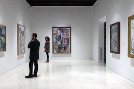 Tour guidato privato al museo Picasso a Malaga