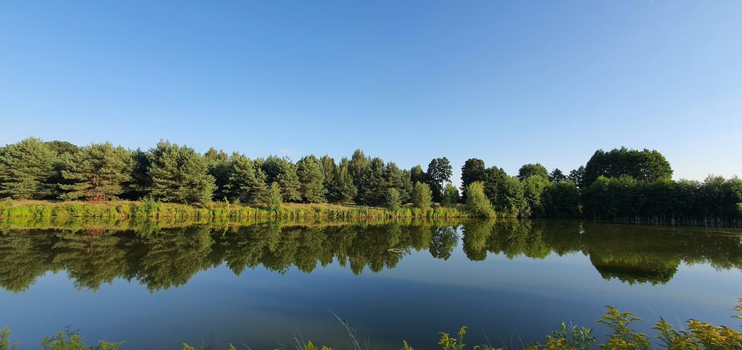 photo of view of Reflections of trees and bushes in the surface of a calm lake on a sunny summer day near Kurów, Pulawy, Poland.