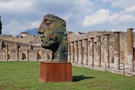 From Castellabate: Pompeii Ruins+Wine Tasting and lunch 