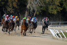 スポーツイベント観戦チケット スペインで