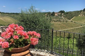 Chianti Wine Tour - Private Wine experience in Tuscany Countryside