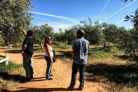 Visita a una finca de aceite de oliva con degustación desde Sevilla