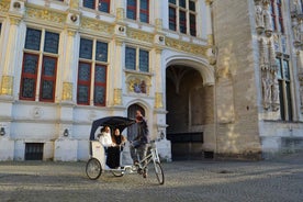 Bruges: Sérsniðin Leiðsögn með Hjólakerru