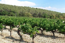 Private Oenogourmande-Wanderung im Luberon mit Verkostungen