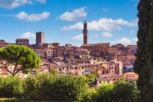 Top 10 Places To Stay in Siena