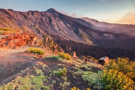 Excursão privada ao Etna e Messina do hotel ou porto de cruzeiros em Messina