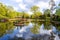 Photo of beautiful Szczytnicki Park in Wroclaw, Poland.