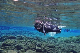 Tour privato di snorkeling a Silfra