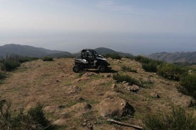 Madeira: Hálfsdags Buggy Ferð utan vega