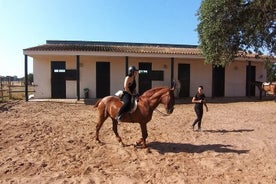 Horseback riding from Madrid