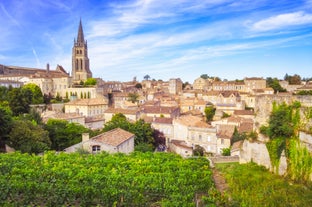 Photo of Nimes Arena aerial panoramic view. Nimes is a city in the Occitanie region of southern France.