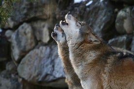 Innsbruck: Aðgangur að Alpenzoo