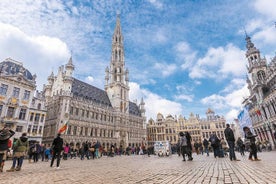 private walking tour : Brussels historical city center Half Day