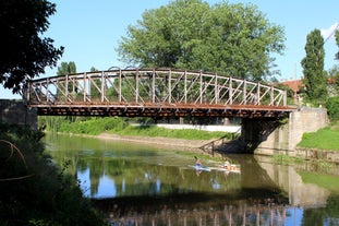 Metal Bridge, Timișoara