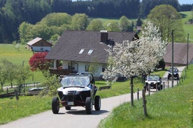 Ruta del Vino de los Vosgos/Alsacia 4x4 Offroad