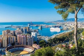 Tour privato di Malaga di un'intera giornata da Cordova con ritiro