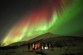  Tour de las auroras