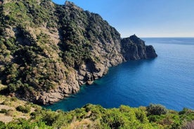 Excursão panorâmica de caminhada privada de Portofino a S. Fruttuoso