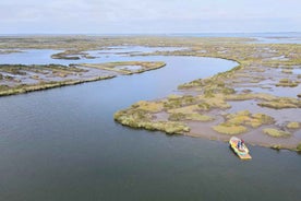 Aveiro: Ria Highlights Boat Tour - Speed Boat