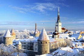 Christmas Joy in Helsingør - Private Walking Tour