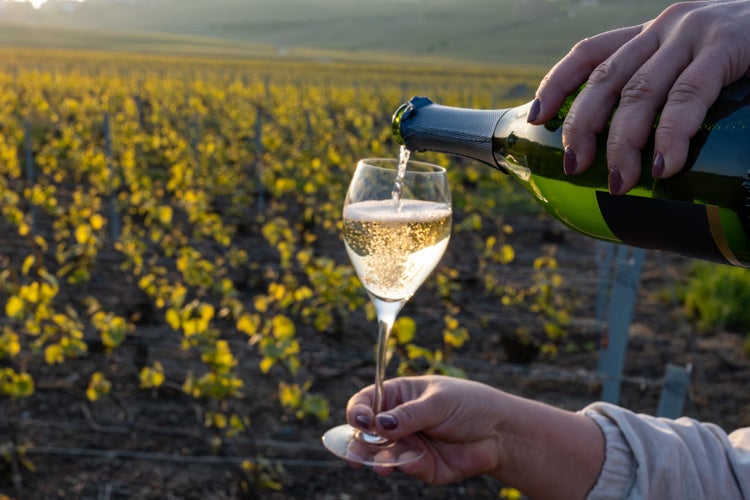 wine tasting in Luxembourg.jpg