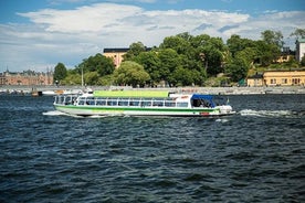 Excursión en barco con paradas libres por la ciudad de Estocolmo