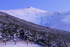 Yksityinen kiertue: Sierra Nevada -päiväretki Granadasta