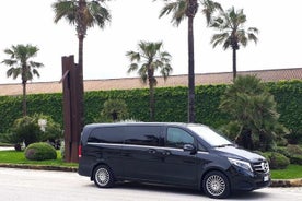 Privat transport fra Palermo flyplass til Trapani eller omvendt