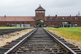 Auschwitz Museum og Salt Mine Tour med privat transport