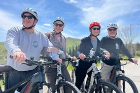 Descubriendo Chianti, tour en bicicleta eléctrica - experiencia diaria