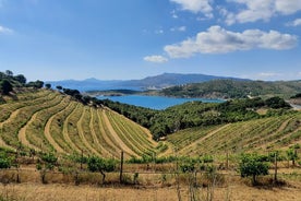 Luxury Wine Tour, Cap de Creus Natural Park - Cadaqués