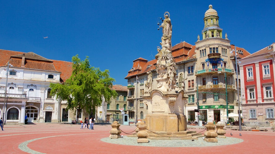 Timisoara featuring a square or plaza and a statue or sculpture