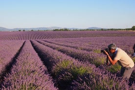 Sunset Lavender Tour i Valensole med upphämtning från Marseille