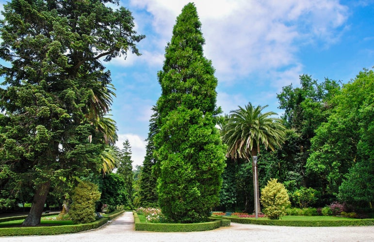 Photo of beautiful view of Alameda Park of Santiago de Compostela.