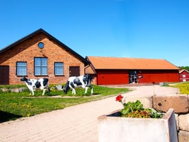 Åberg's Museum