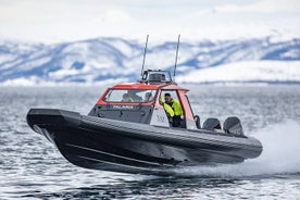 Einkasigling með High Speed RIB í Noregi