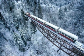 Bakuriani Borjomi full day tour from Tbilisi