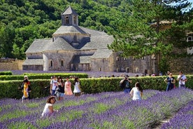 Villages de Provence Tour Privé