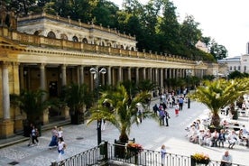 Trasferimento privato di sola andata da Cesky Krumlov a Karlovy Vary