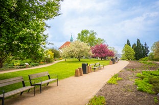 Dendrological Garden