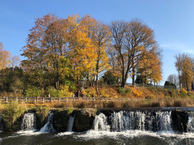 Waterfall in autumn, Kuldīga yellow leaves