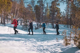 Gangan á snjóþrúgum að heillandi frosnu fossinum