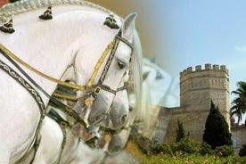 Jerez Historic Guided Tour with Horse Show