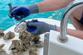 Ston Seafood & Pelješac Wine: Boat Tour with Oysters and Mussels