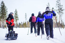 Lernen Sie etwas Skifahren