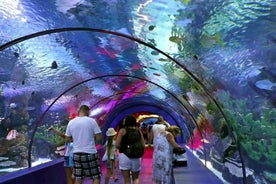 From Antalya, Side, and Alanya: Antalya Aquarium Transfer