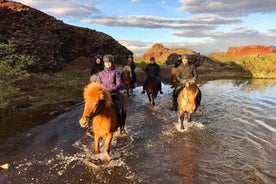 Reykjavik: Evening Sleipnir Horse Riding Tour with Pickup